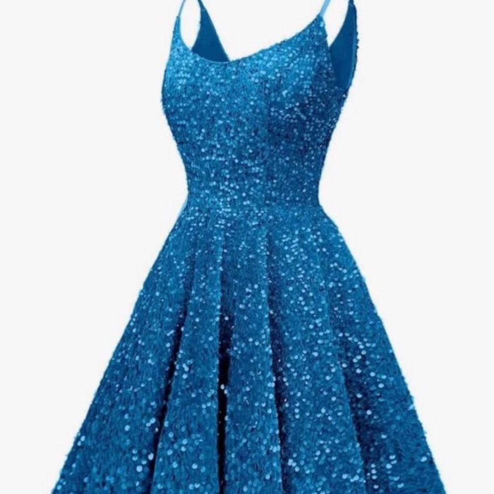 Junior hoco dress (semi formal)